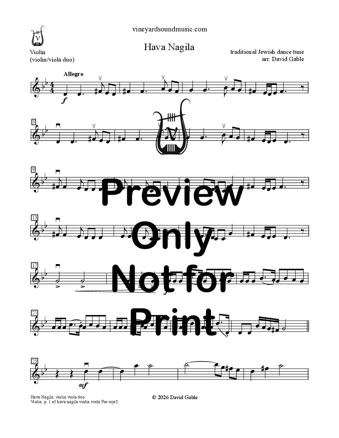 Hava Nagila (violin viola duo)